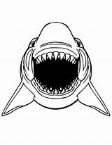 Shark Coloring Pages Jaws Great Mouth Drawing Printable Color Kids Print Whale Teeth Scary Sheet Animals Clipart Sharks Cartoon Sheets sketch template