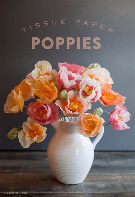 tissue paper poppies pictures   images  facebook tumblr
