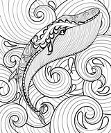Whale Zentangle Sea Coloring Vector Adult A4 Print Stock Illustration Animal Hand Panki Depositphotos sketch template