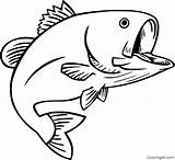 Bass Fish Coloring Pages Fishing Outline Drawing Drawings Trout Lure Clipart Color Clip Cliparts Jumping Printable Largemouth Print Cartoon Water sketch template