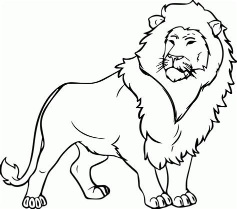 lion   lions coloring pages coloring home