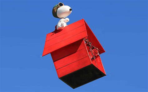peanuts drone   snoopy flying    red doghouse