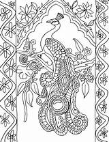 Coloring Pages Book Printable Adult Color Books Colouring Adults Peacock Peacocks Feather Patterns Coloringme Via Bing sketch template