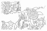 Coloring Seabed Pages Print Color Kids sketch template