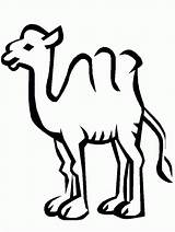 Malvorlagen Animierte Kamele sketch template