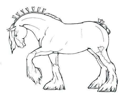 shire horse coloring pages printable coloring pages