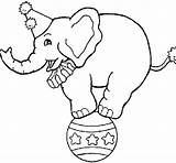 Elefante Pelota Encima Palla Cima Elefant Pilota Acrobat Fasching Acolore Circo Dibuix Balle Colorier Muster Zirkus sketch template
