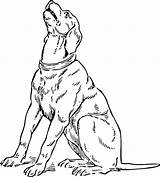 Coloring Pages Hound Dog Coon Basset Color Printable Template Getcolorings Coloringhome Print sketch template