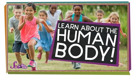 body human body compilation youtube