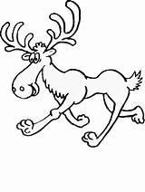 Moose Coloring Pages Caribou Coloriage Kids Printable Drawings Cartoon Clipart Canada Print Cliparts Step Drawing Colouring Animals Clipartbest Book Clip sketch template