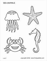 Printable Sea Animals Dolphin Templates Coloring Pages Firstpalette sketch template