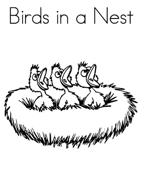 baby birds  bird nest coloring pages  place  color