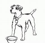 Coloring Realistic Dog Pages Dogs Real Colouring Library Popular Clipart Kids Coloringhome sketch template