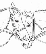 Coloring Horse Pages Two Library Clipart sketch template