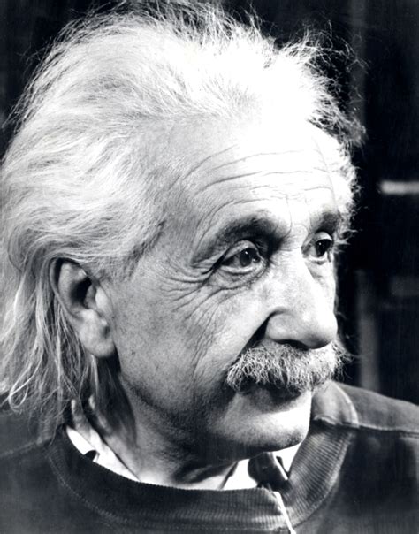 17 Portraits D Albert Einstein La Boite Verte Albert