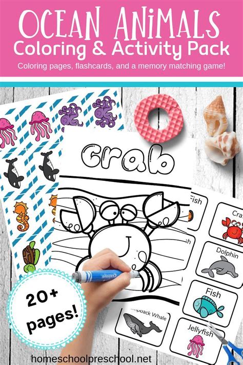 ocean coloring pages  preschoolers artofit