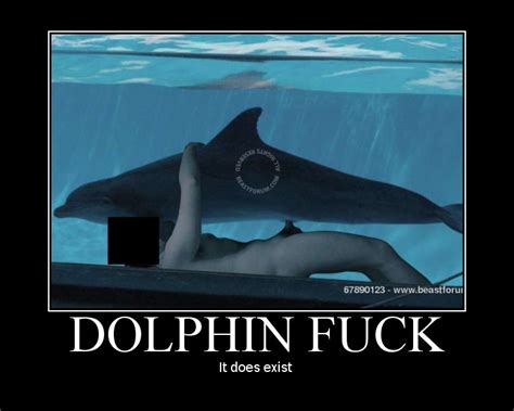 man fucks dolphin pussy