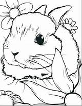 Coloring Pages Printable Rabbit Bunnies Bunny Getcolorings Print Color sketch template