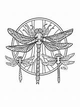 Dragonflies Adults Mandala Flies Zentagle Zentangle sketch template