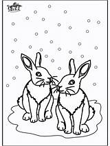 Winter Coloring Pages Animals Rabbits Colouring Funnycoloring Advertisement Popular sketch template