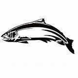 Steelhead Decal Decals Waterfowldecals sketch template