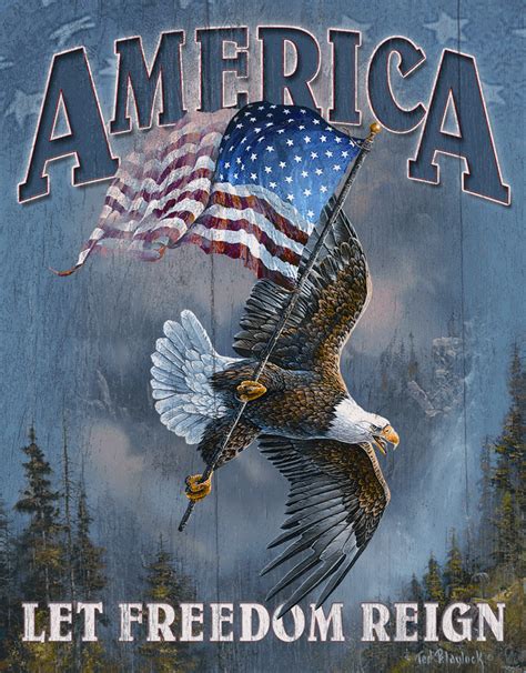 america let freedom reign tin sign freedom fighters bald eagle and safety