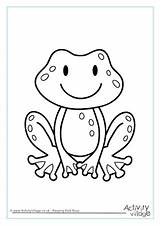 Colouring Minibeasts Frog sketch template