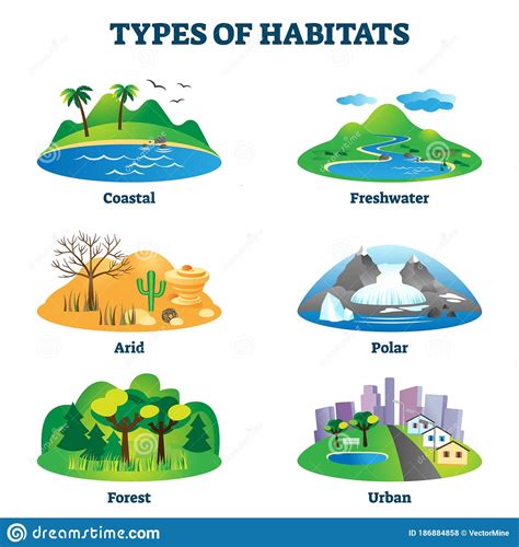 habitats create webquest