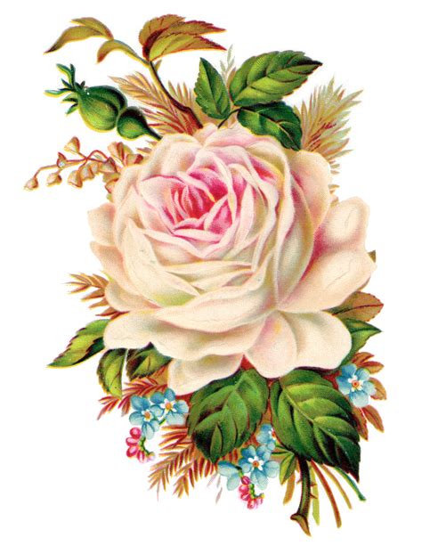 clip art royalty  gorgeous vintage rose image  pretty