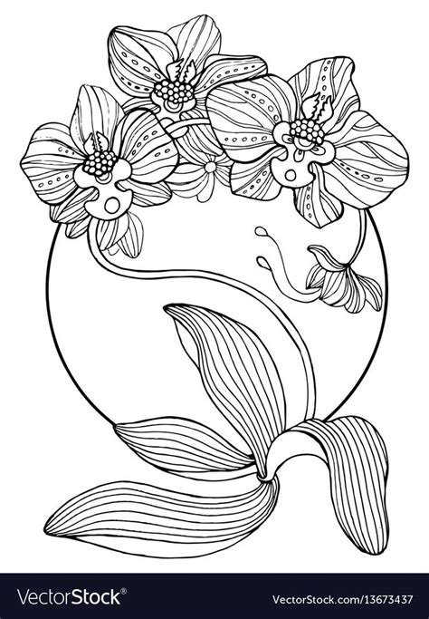 orchid flowers coloring book vector illustration tattoo stencil black