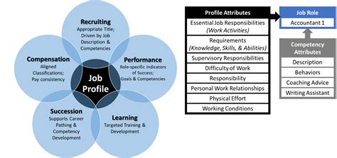 spd core competencies  job architecture