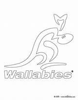 Wallaby Coloring Rugby Wallabies Australia Designlooter Team 35kb Template sketch template