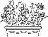 Summer Flowers Coloring Pages Printable Color Getcolorings Flower sketch template