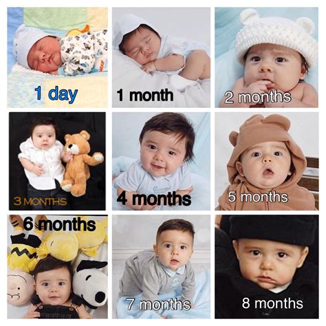 baby growth  day   month   months   months   months