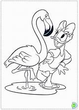 Duck Daisy Coloring Pages Dinokids Comments Print Close Books sketch template