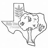 Coloring Texas Pages Printable State California Flag Colorado Sheet Print History Getcolorings Color Outline Getdrawings Drawing sketch template