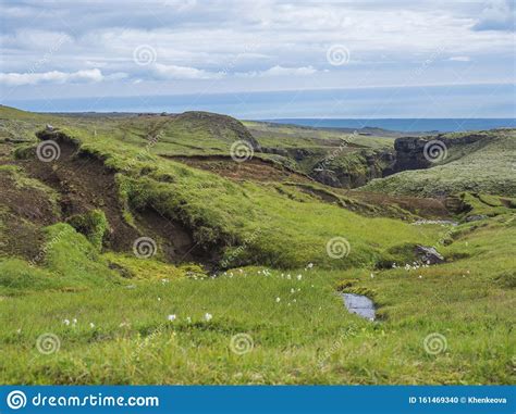 beautiful lush green landscape of skoga river valley with