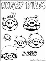 Angry Coloring Birds Pages Pig Pigs Popular Library Bird sketch template