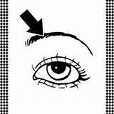 Flash Eyebrow Card Eye Cards Printable Print Parts Body Little Click Freeprintable sketch template