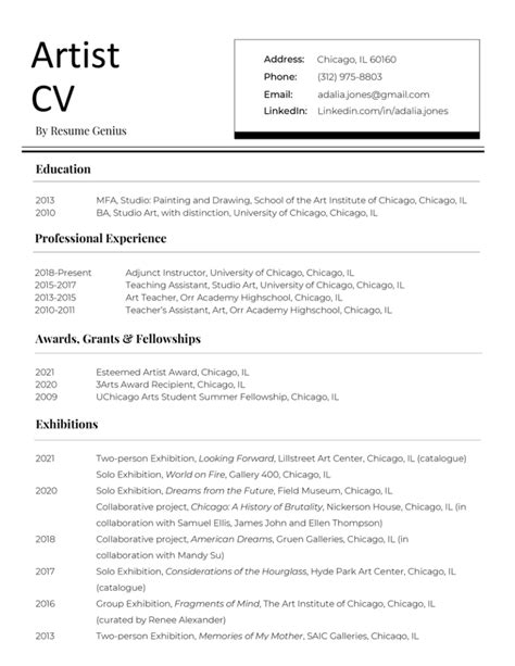 artist cv  template   write resume genius