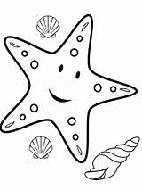 Starfish Coloring Animal sketch template