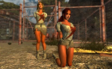 fallout new vegas mods and community