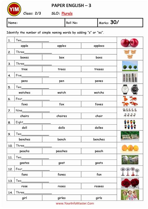 easy   teaching singular  plural nouns  info master