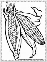 Coloring Pages Corn Printable Cob Ear Drawing Indian Stalk Field Template Kids Color Outline Print Getcolorings Children Fruit Getdrawings Templates sketch template