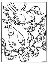 Kleurplaten Vogels Kleurplaat Bloem Dieren sketch template