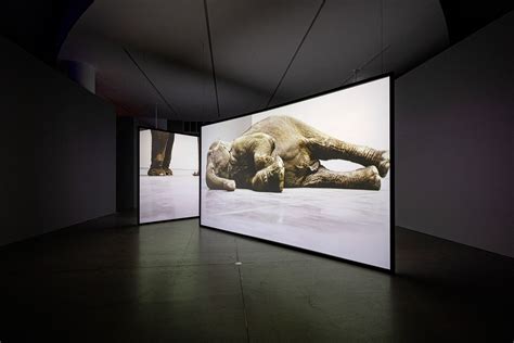 video artist douglas gordon showcases extensive solo exhibition in denmark