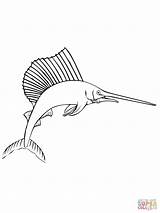 Marlin Coloring Pages Color sketch template