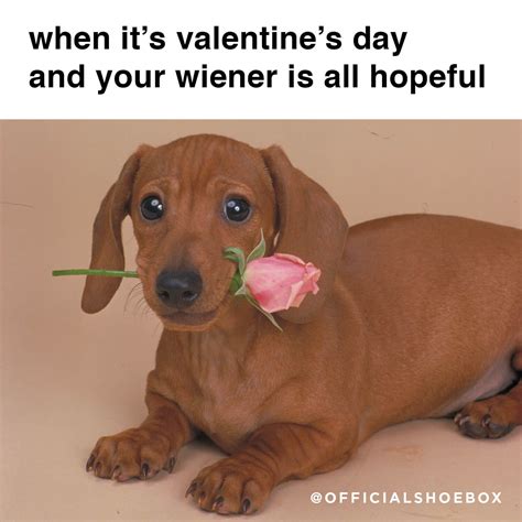 Funny Valentines Day Quotes Youll Both Love Valentines Day Memes