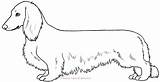Dachshund Long Haired Deviantart Lines Coloring Pages Hair Dachshunds Dogs Explore sketch template