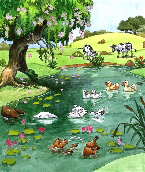 children book illustrations styles top  picture book illustration gallery
